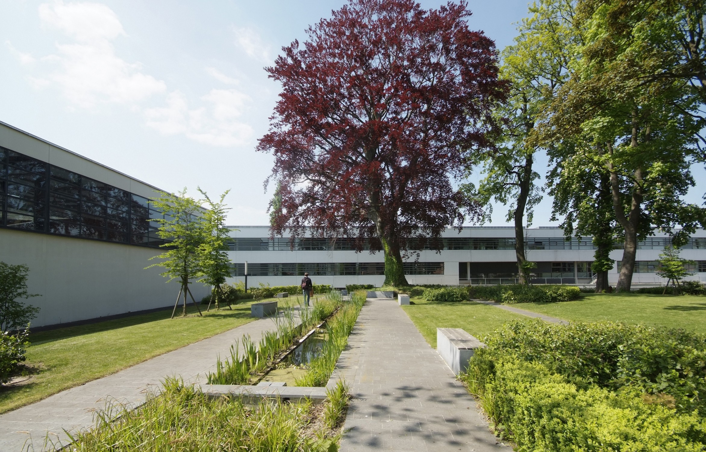 Lycée Louis Blaringhem - Photo 2